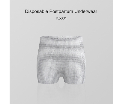 K5301 Disposable Postpartum Underwear